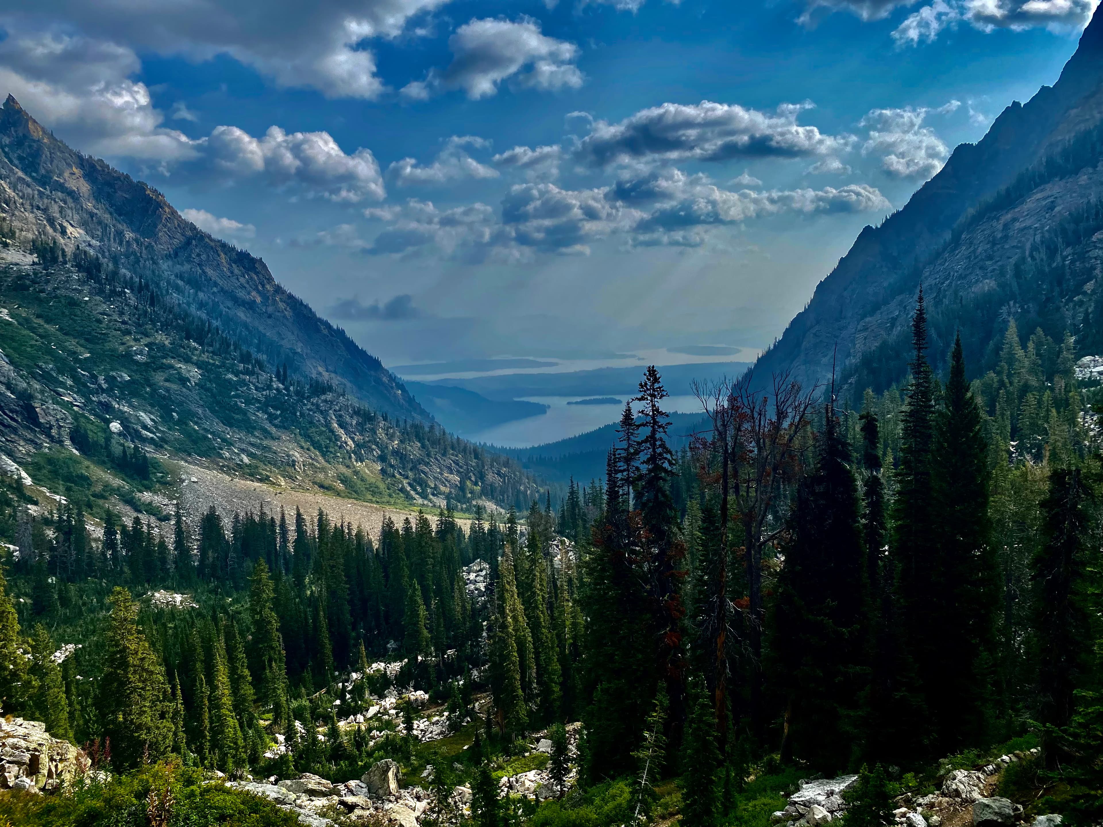 A beautiful view of a valley filled with tall trees and leading to the sea on a sunny day