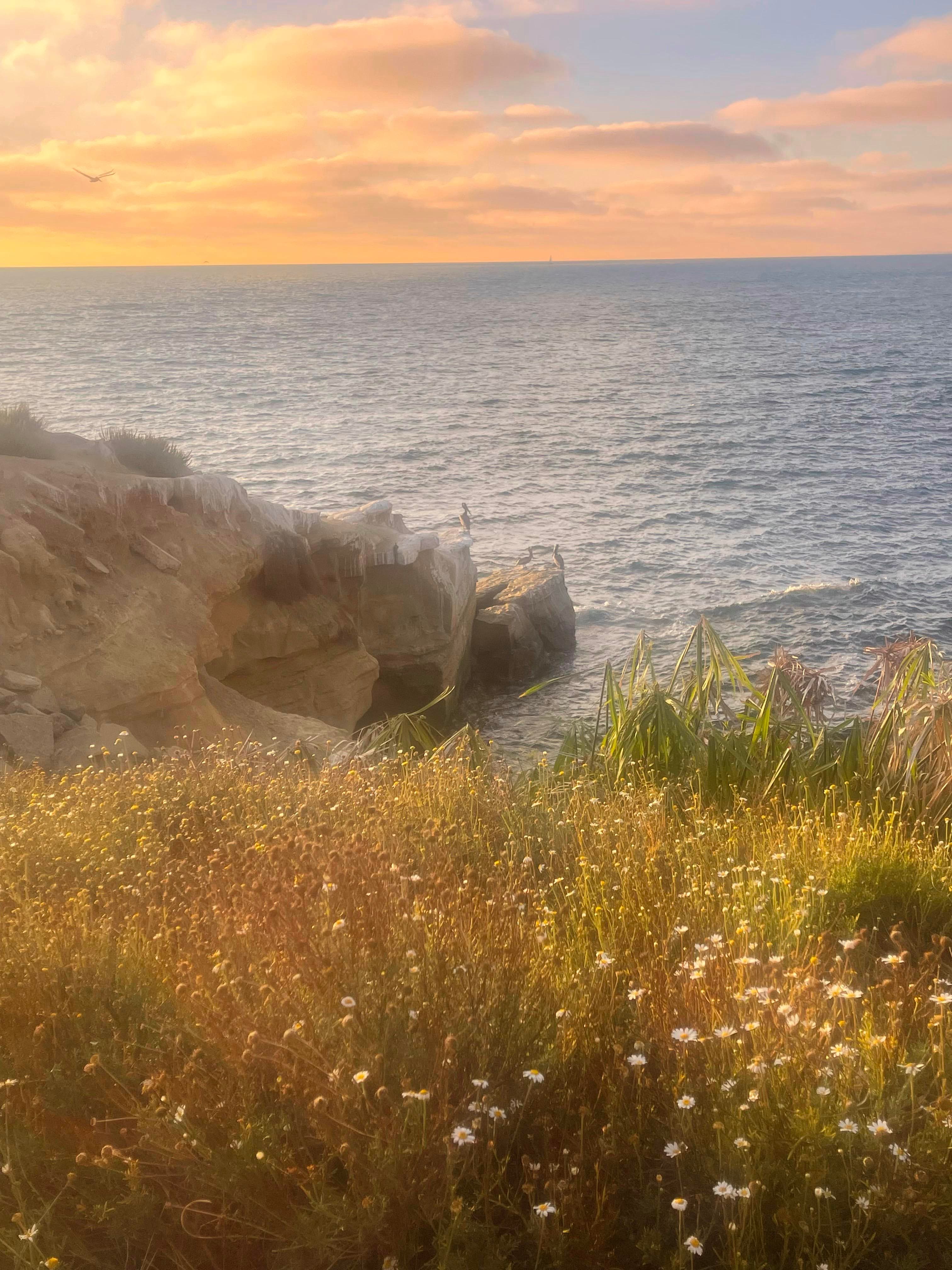 A beautiful view of sunset