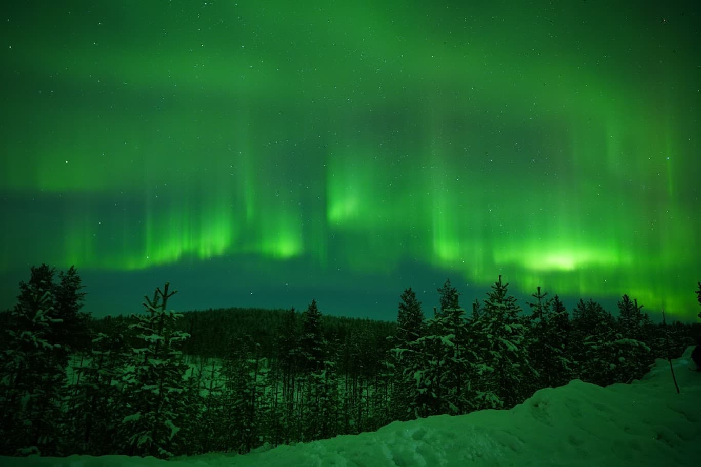 Finnish and Swedish Laplands: Why You Visit in Winter curated by Alanna Zappariello