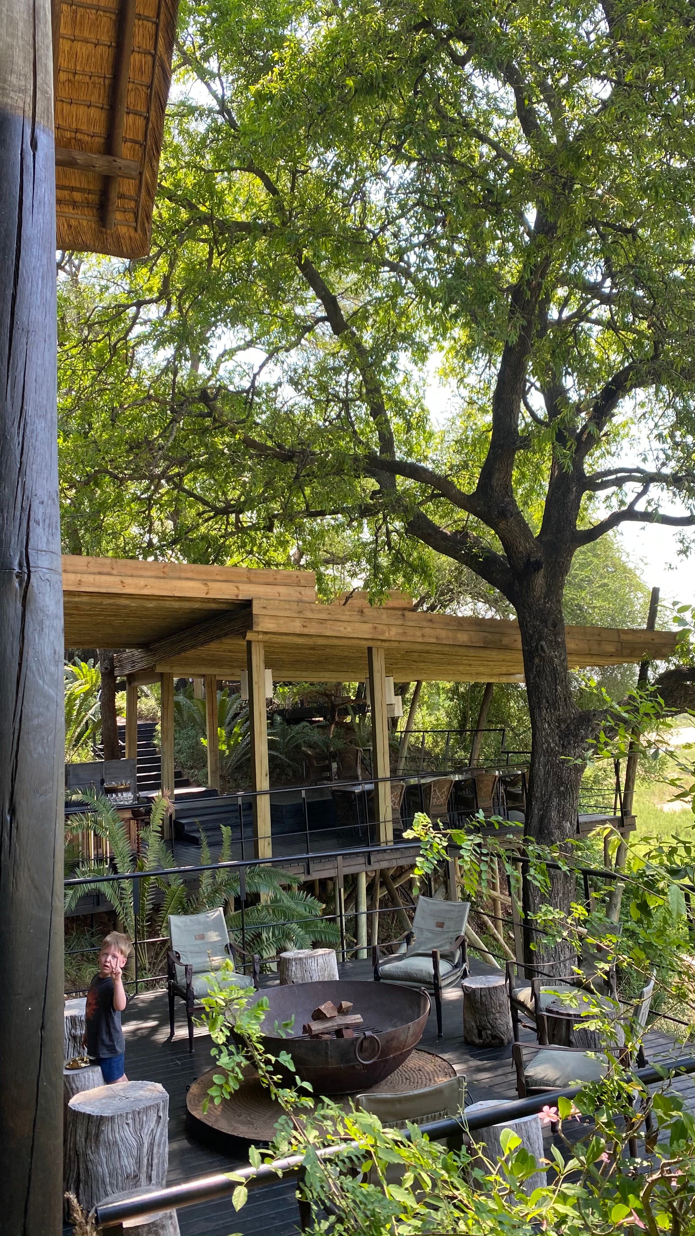 Luxury Africa: Different Price Points for Different Ages and Stages curated by Sharon Schneider