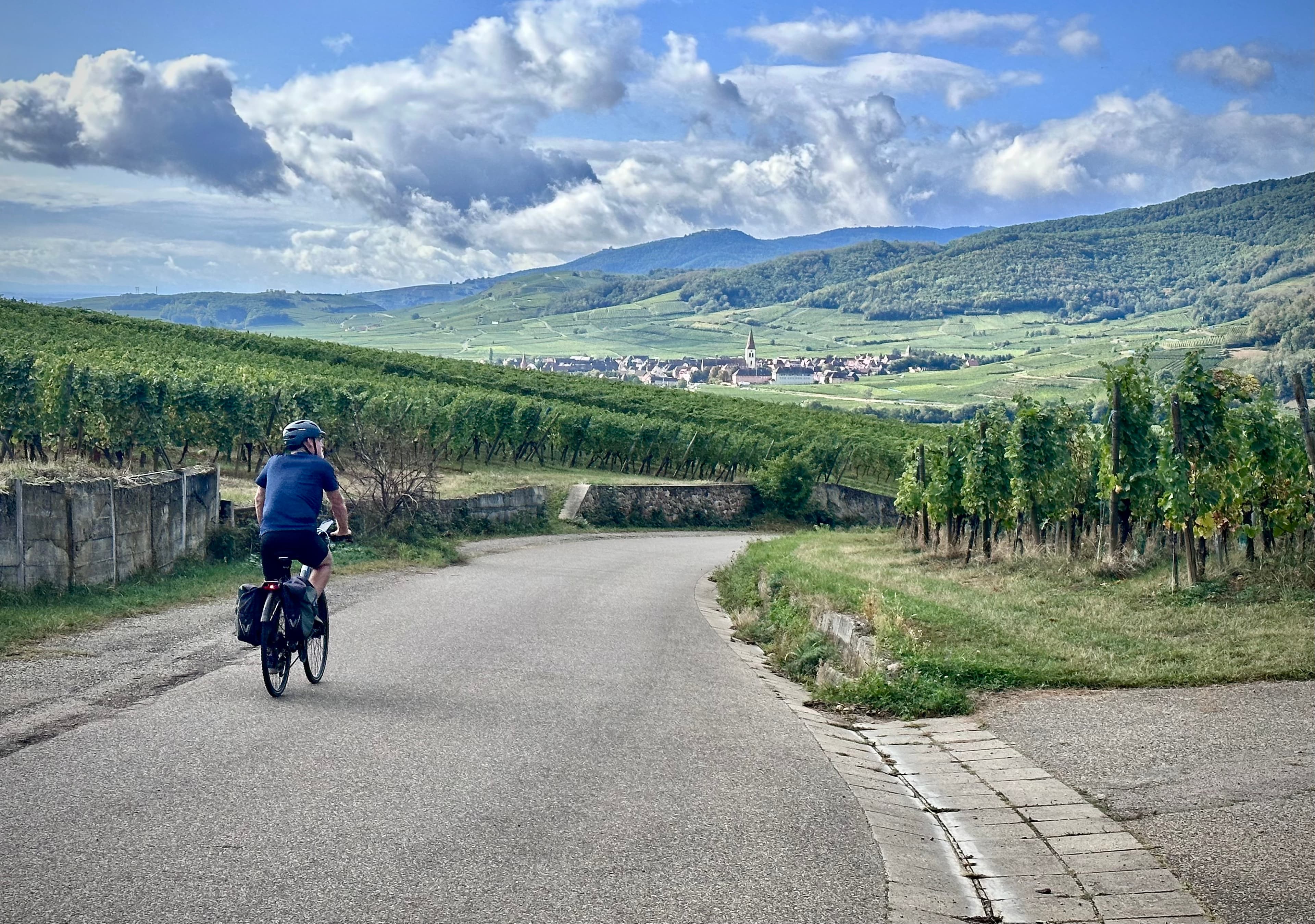 The Wine Route of Alsace: A Cycling Guide curated by Jody Holman