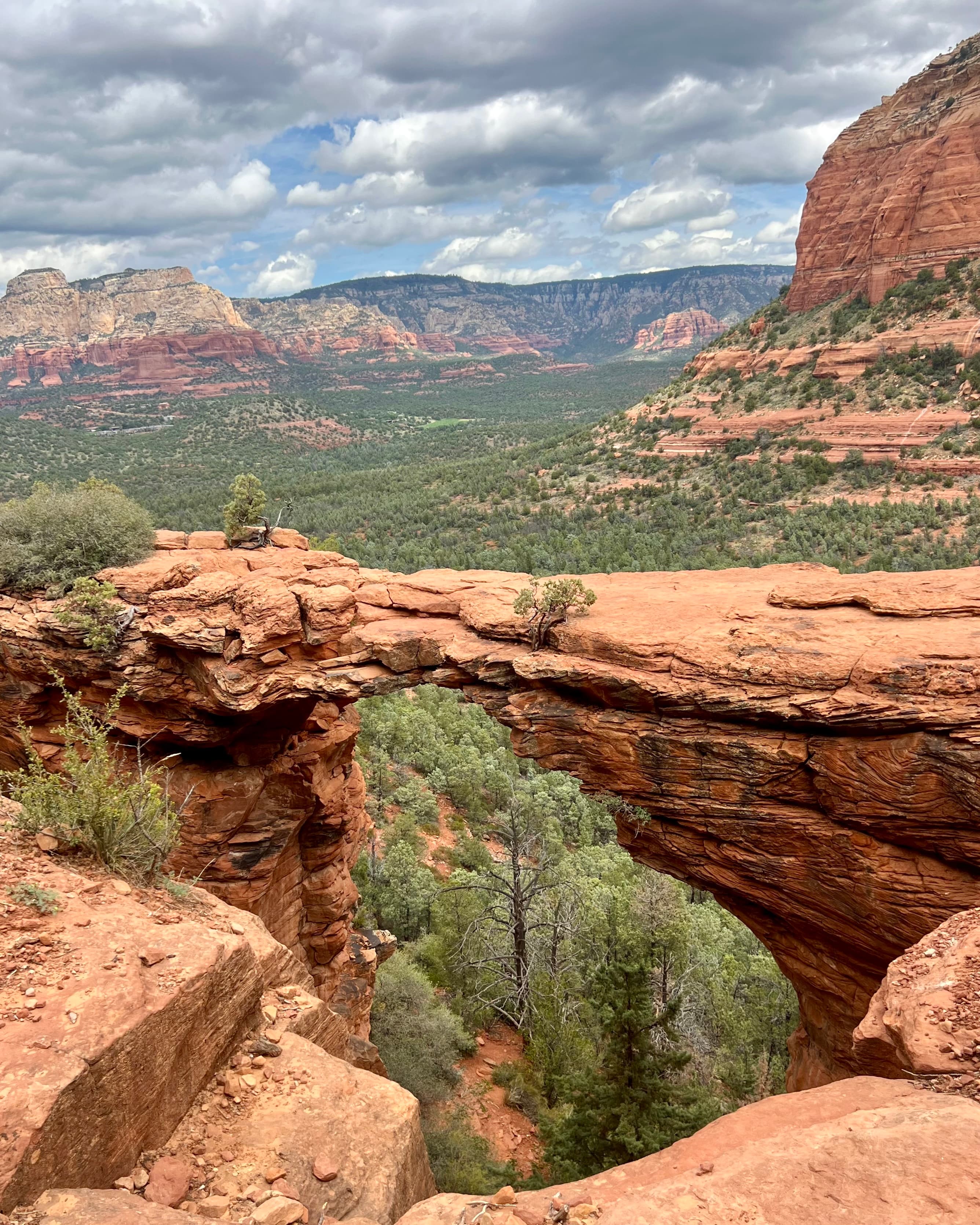Planning a Sedona Trip? Start Here! curated by Sheridan Smith