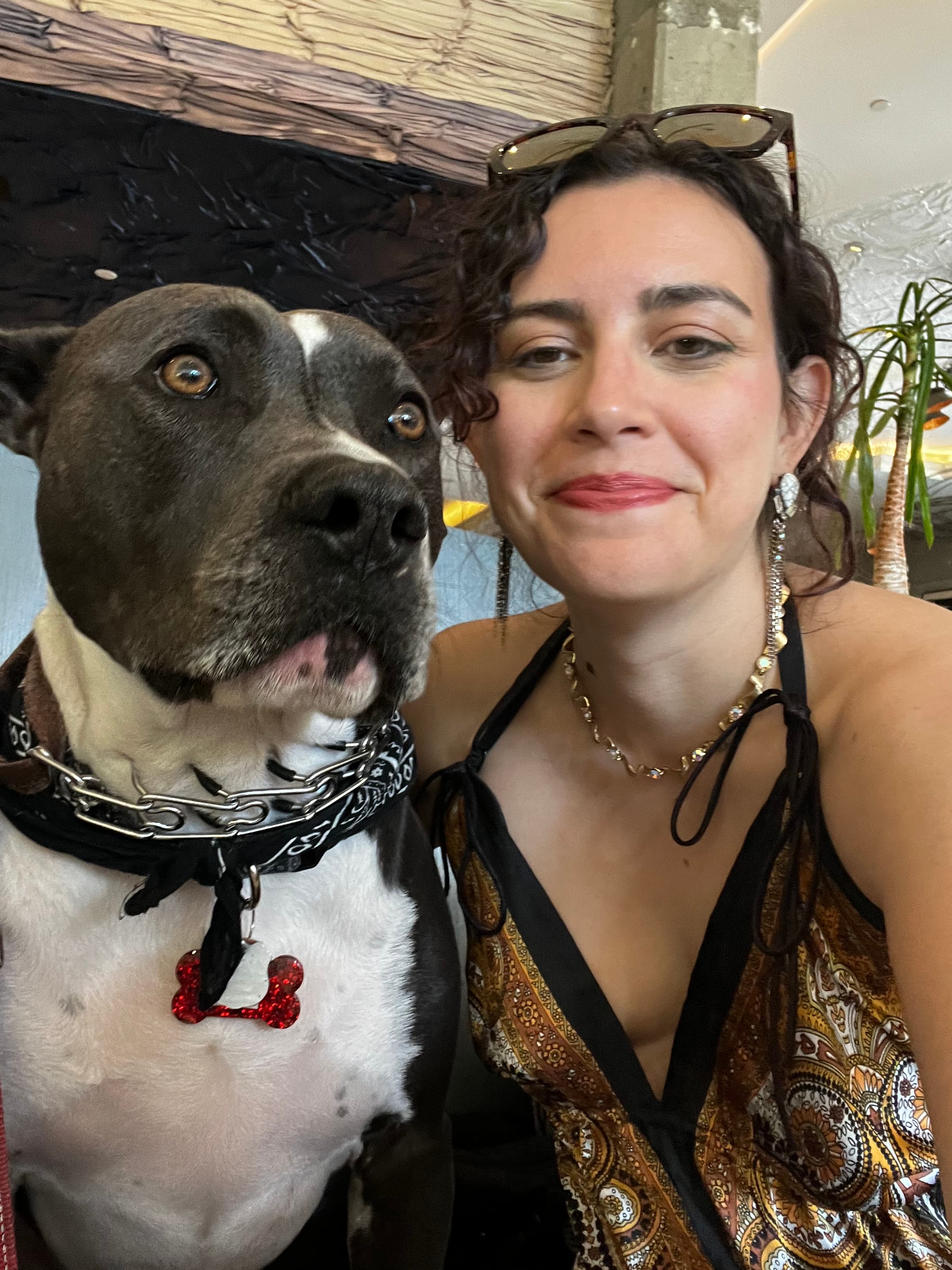 Dog-Friendly Weekend Getaway in Los Angeles curated by Lauren Harvey