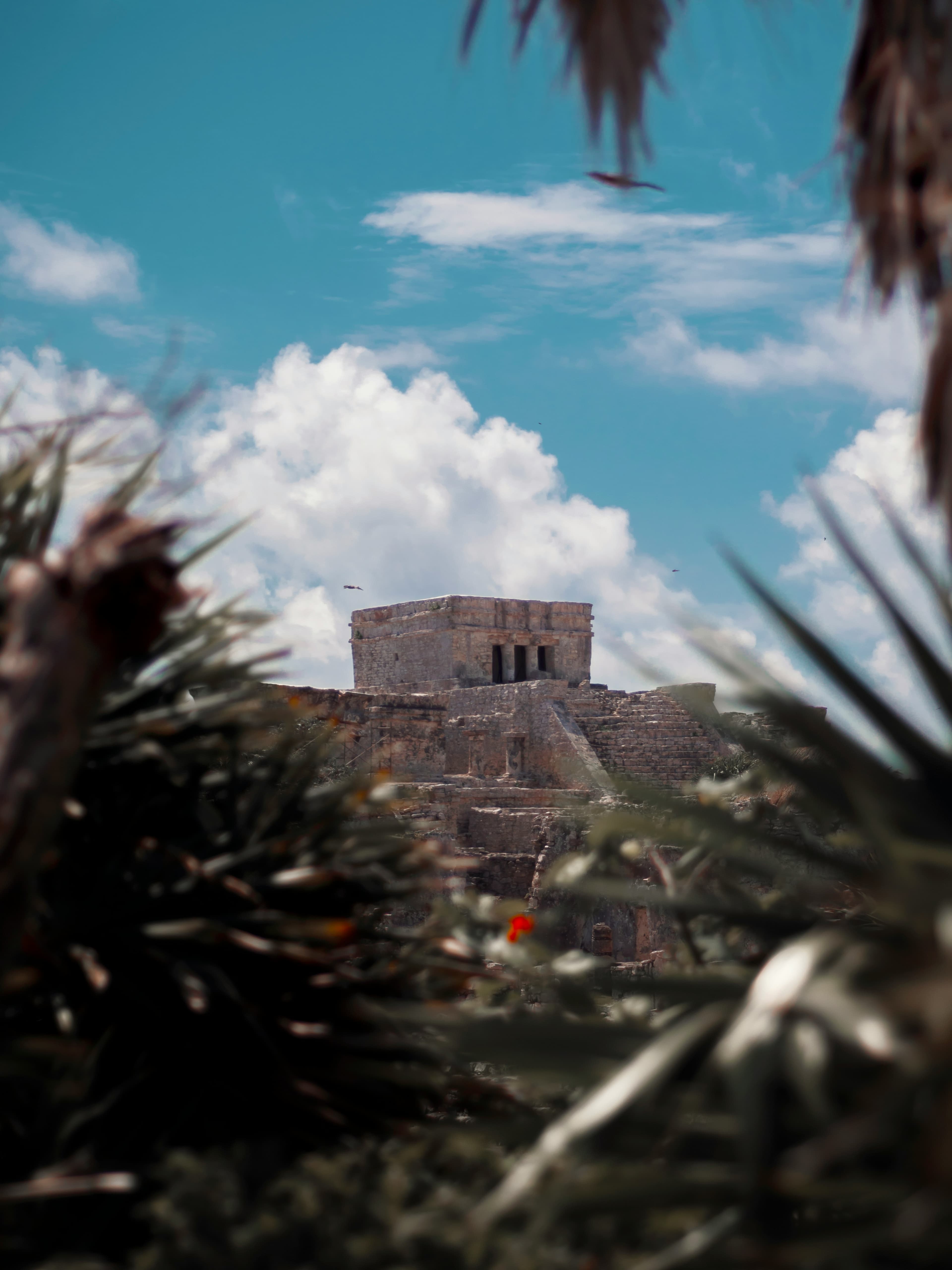 Tulum: Eat, Drink, and Play on Mexico's Caribbean Coastline curated by Ciaran Coen