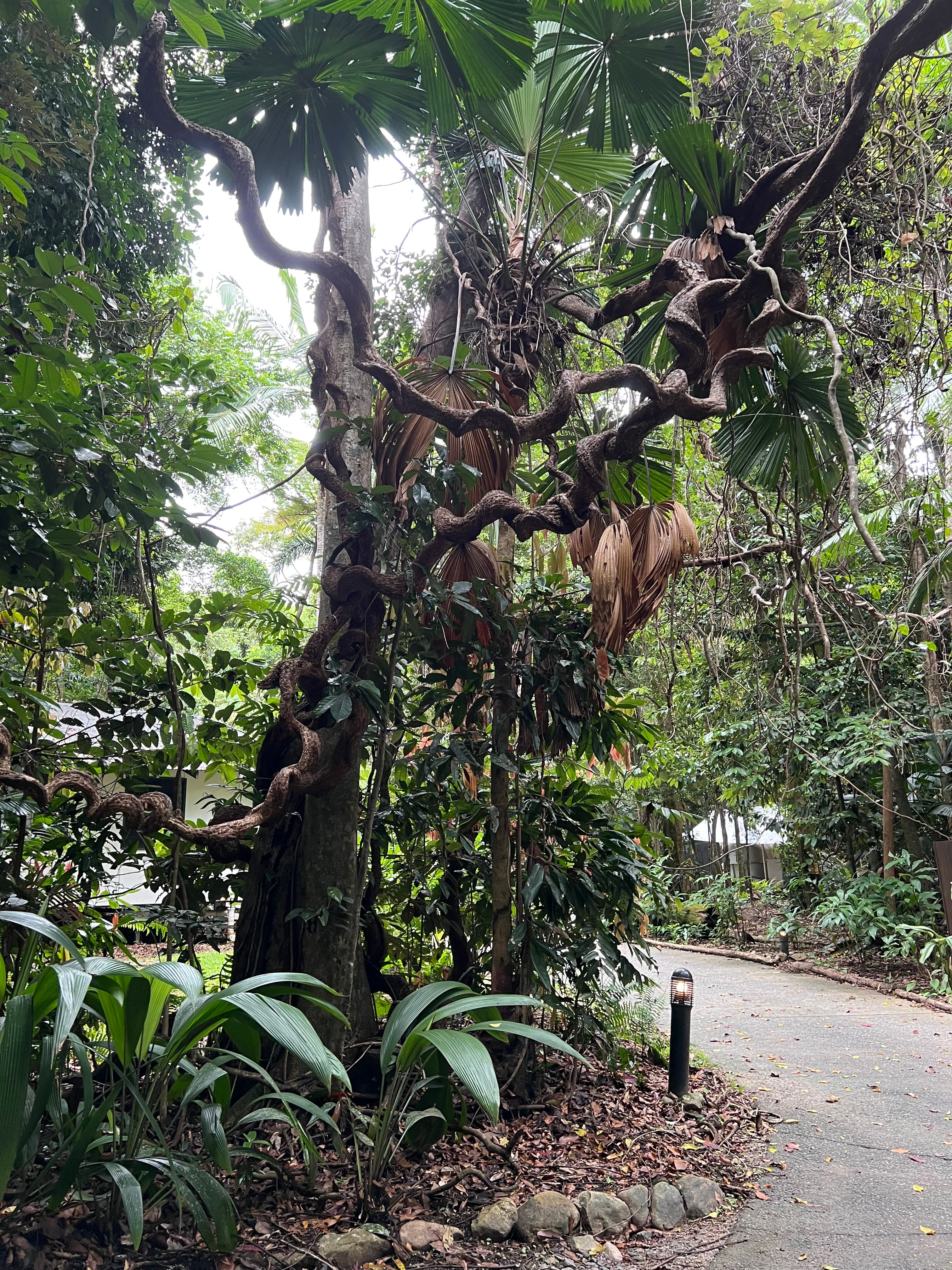 Australia’s Queensland Coast, Great Barrier Reef, and Daintree Rainforest curated by Elizabeth Gudrais