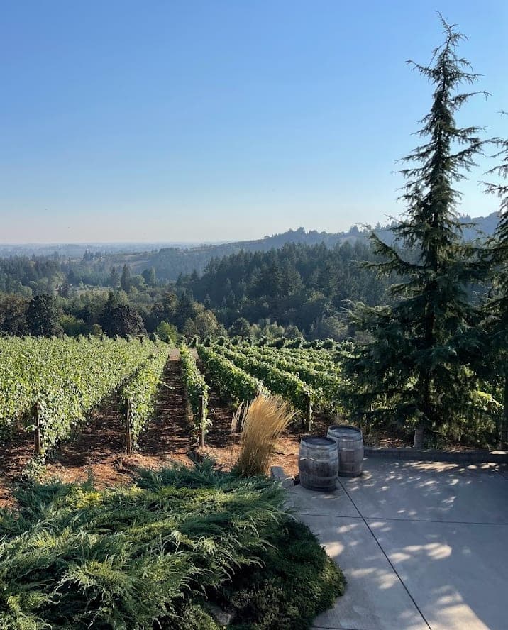 Wine & Nature: The Best of All Worlds in Oregon curated by Kaitlyn Knause