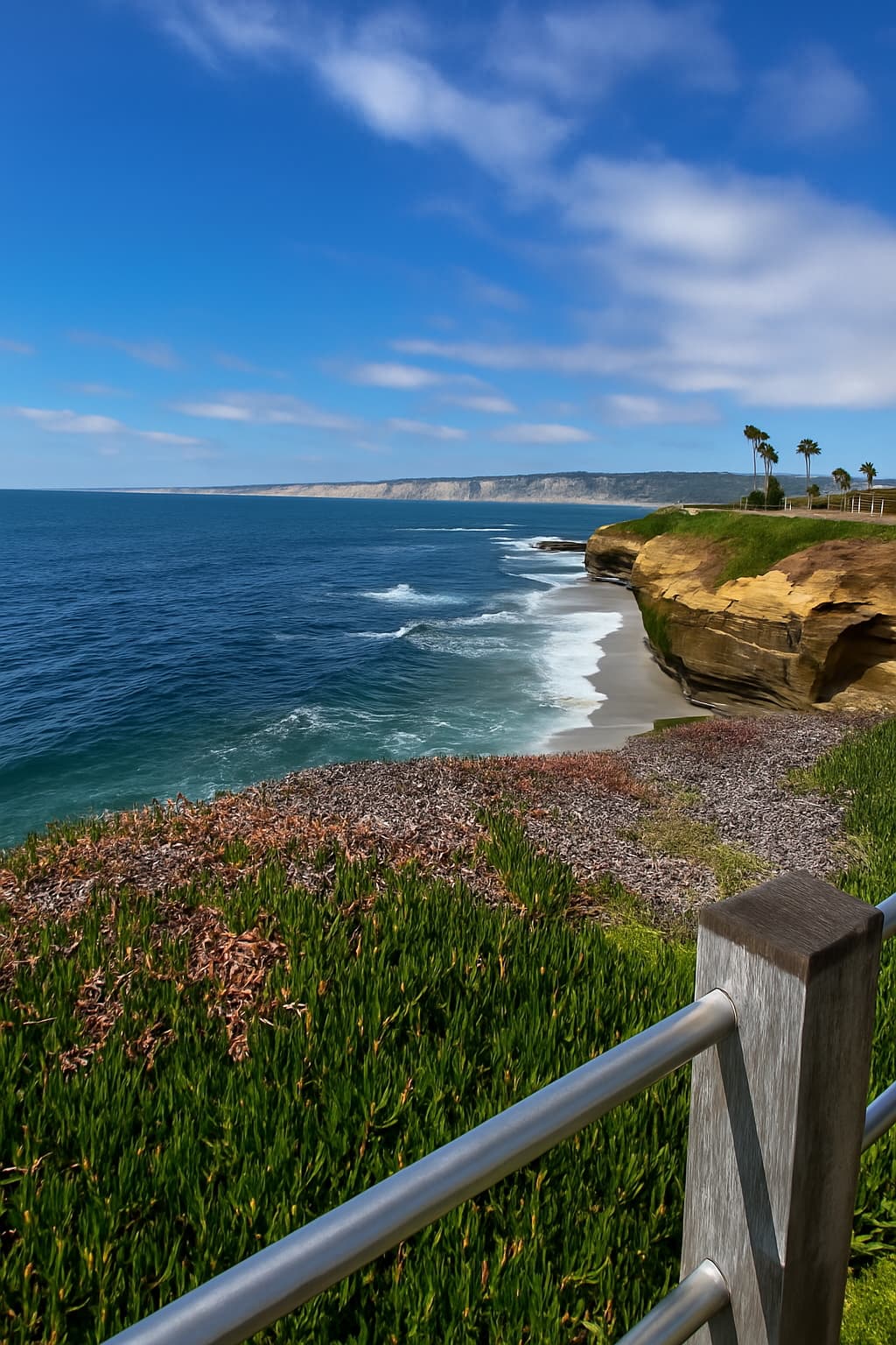 San Diego Outdoors: From La Jolla Cove to Belmont Park & Beyond curated by Brogden Heidenreich