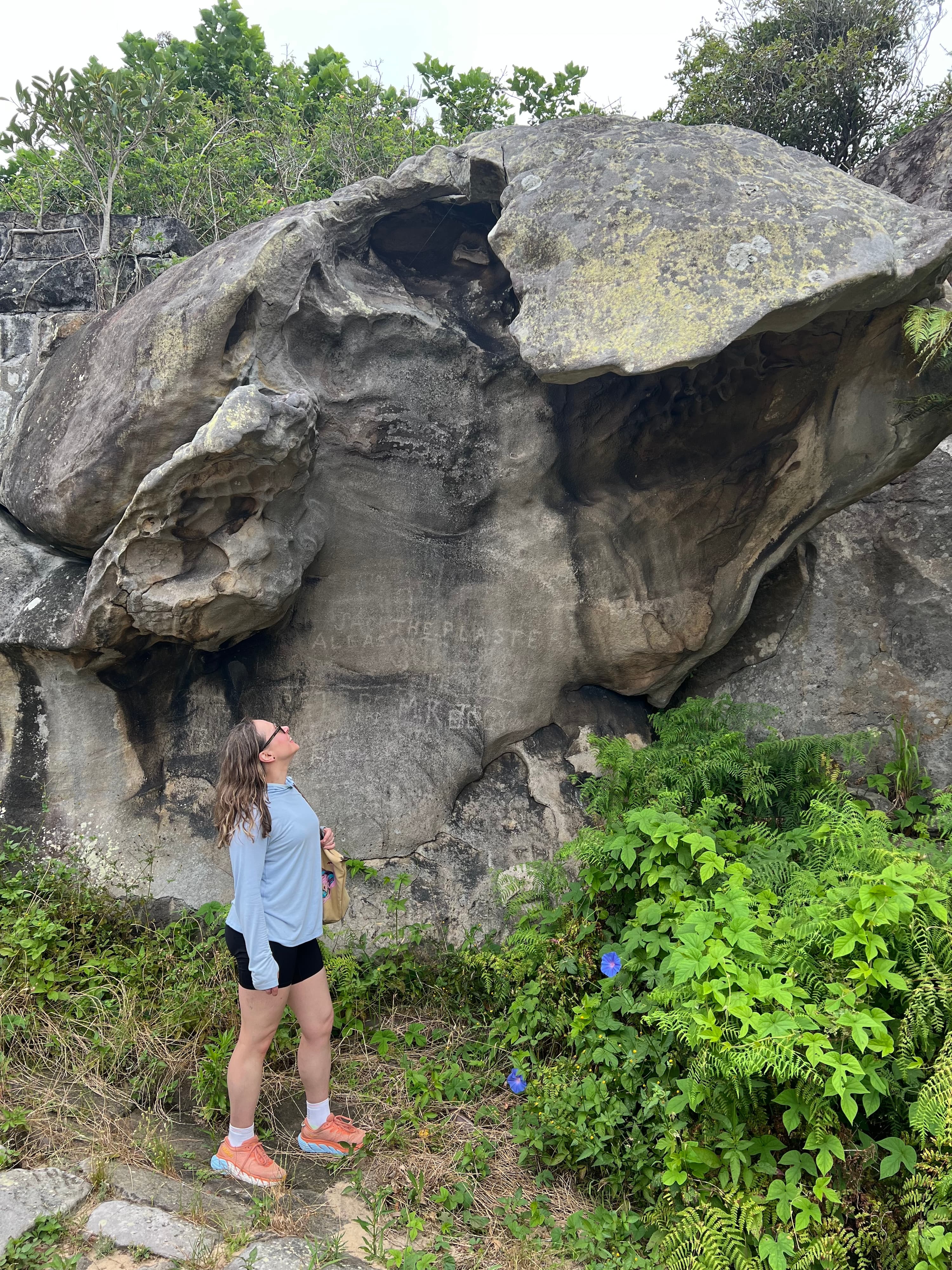 Pre-Cruise Stay in Sydney: Where to Stay, What to Eat, Things to Do curated by Elizabeth Gudrais